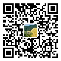 鼎盛app